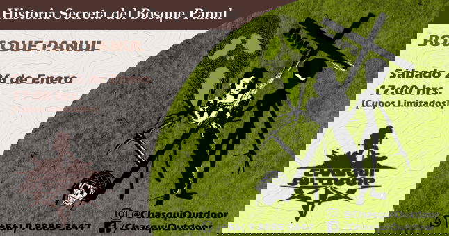 Caminata Historia Secreta del Bosque Panul
