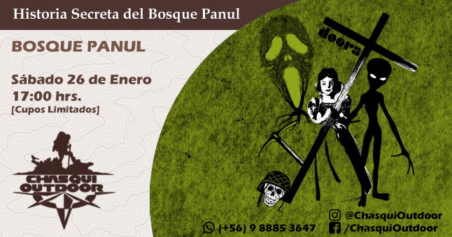 Caminata Historia Secreta del Bosque Panul