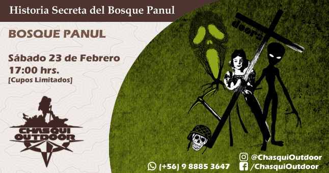 Caminata Historia Secreta del Bosque Panul