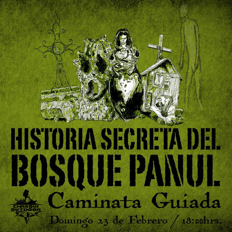 Caminata Historia Secreta del Bosque Panul - Copia