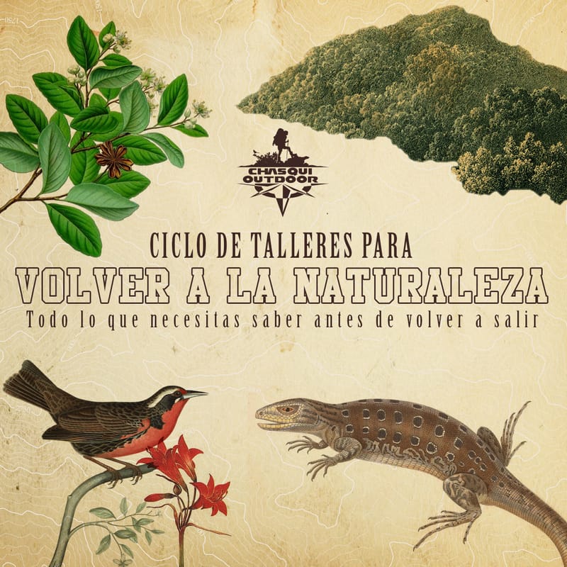 Ciclo de Talleres para Volver a la Naturaleza [2da Edición]