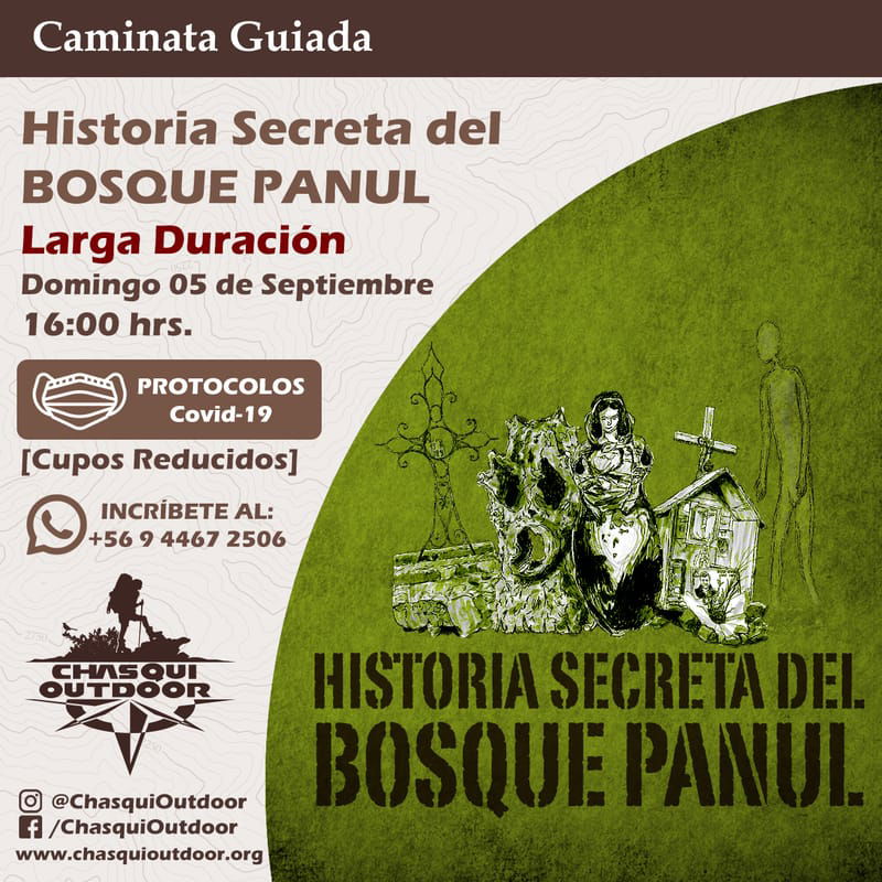 Caminata Historia Secreta del Bosque Panul