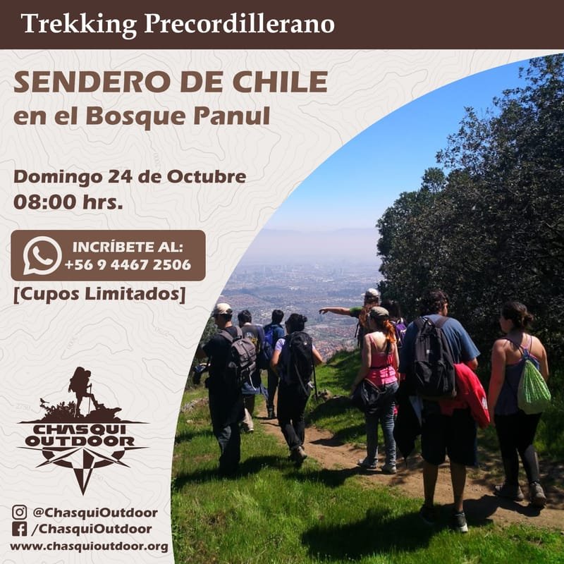 Trekking Precordillerano al Sendero de Chile - Bosque Panul
