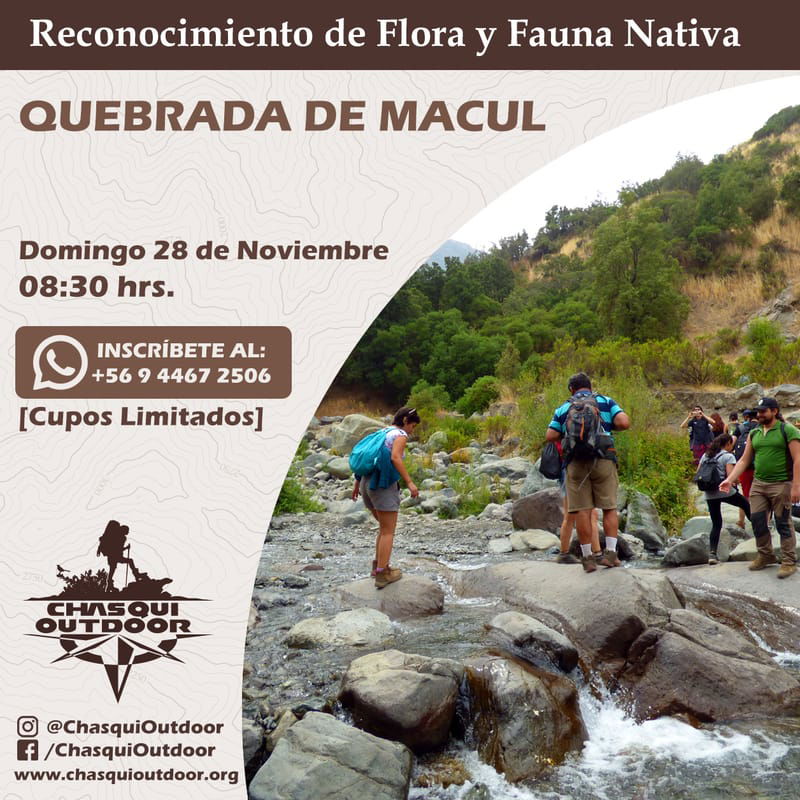 Reconocimiento de Flora y Fauna -  Quebrada de Macul