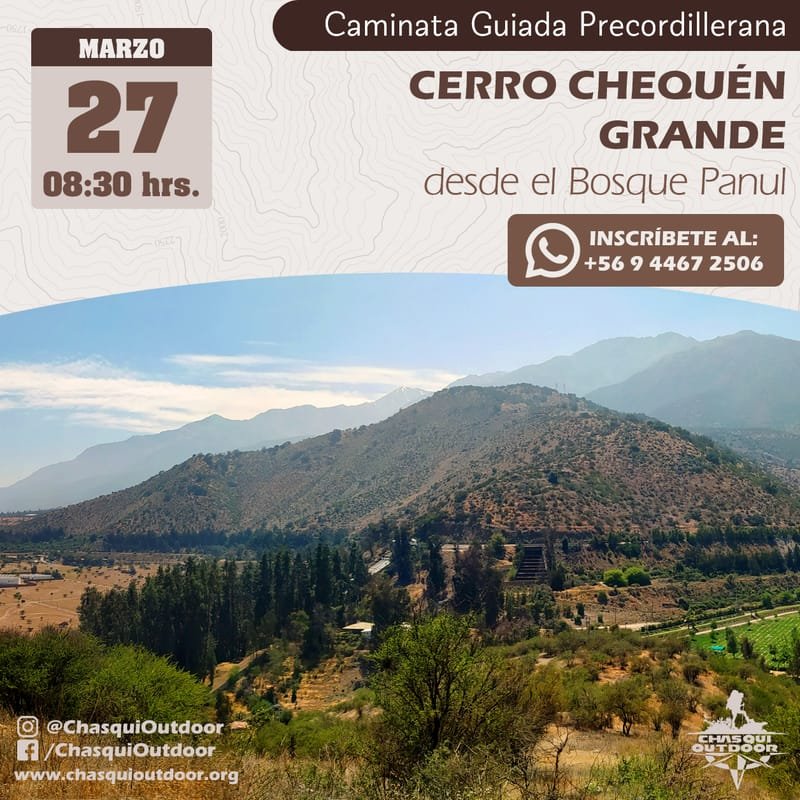 Cerro Chequén Grande desde el Bosque Panul
