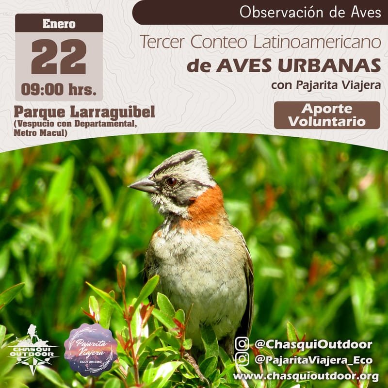 Observación de Aves - Conteo Latinoamericano de Aves Urbanas