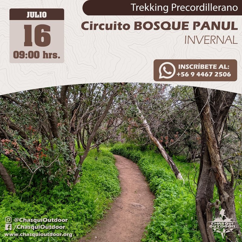 Trekking Precordillerano - Circuito Bosque Panul INVERNAL