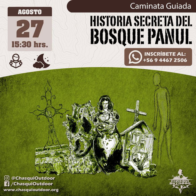 Caminata Guiada Historia Secreta del Bosque Panul