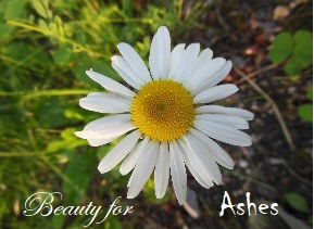 Beauty For Ashes - POST ABORTION Support