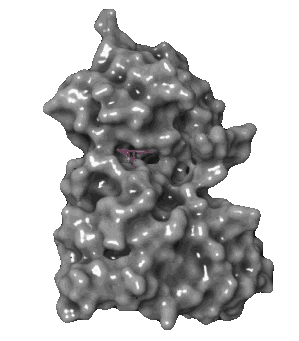 DRUG DISCOVERY LAB