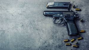 Gun Rack and Firearm Storage image