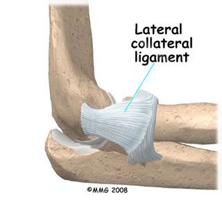 Lateral Collateral Ligament - sports med