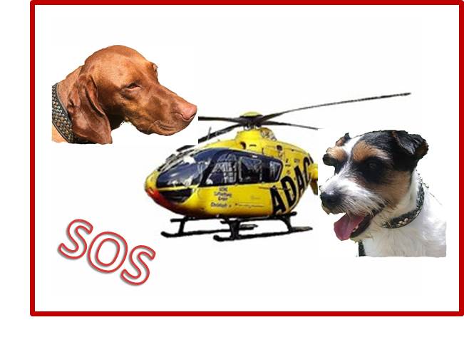 Helikopterfrauchen … oder: warum zu Hause Ungemach droht