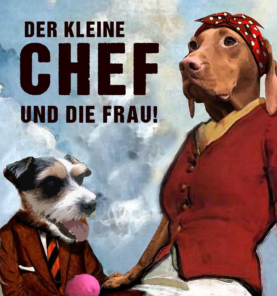 Bürohunde