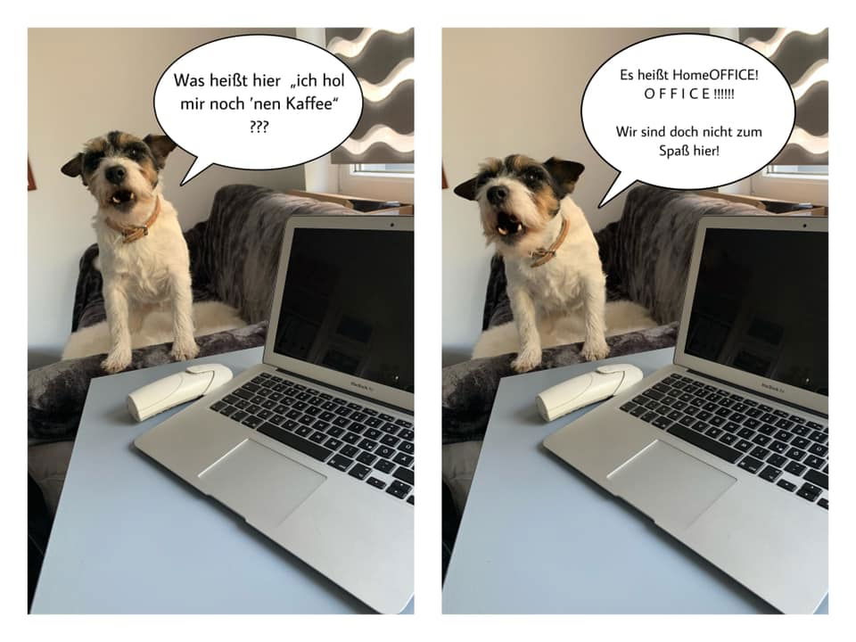 Chef im Homeoffice