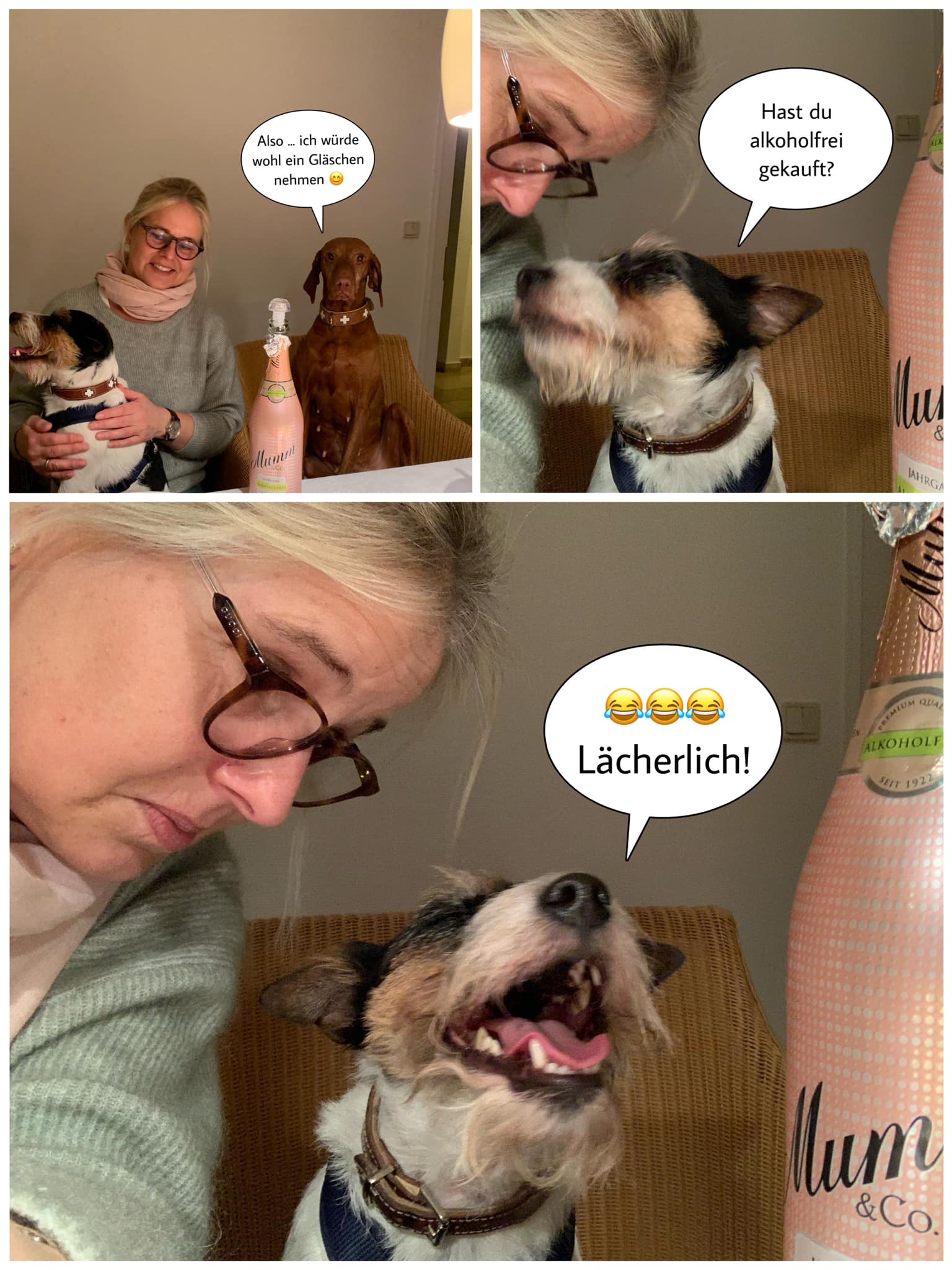 Ein frohes neues Jahr!
