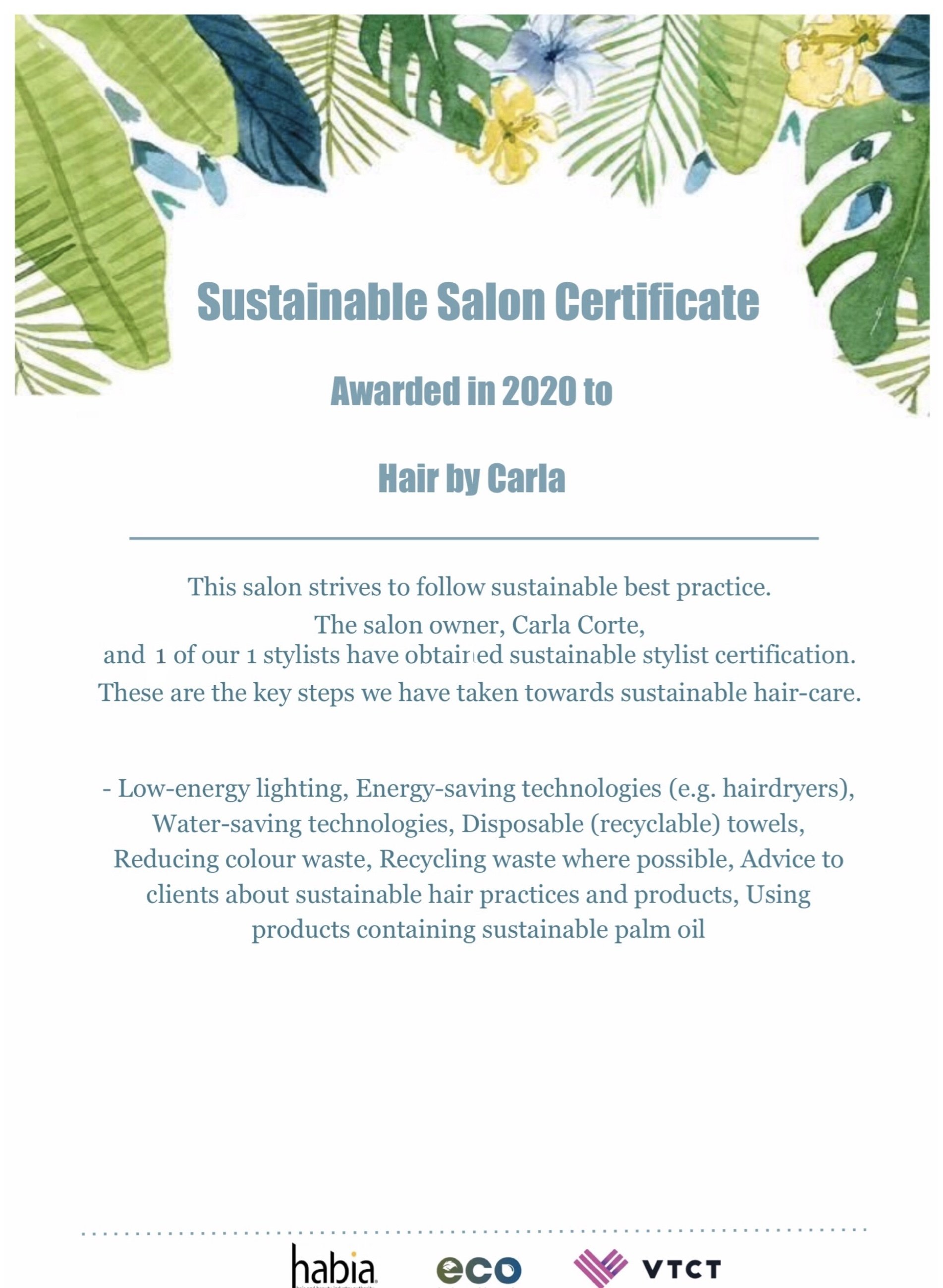 Sustainable Salon 2020