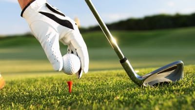 The Great Benefits to Golf School image